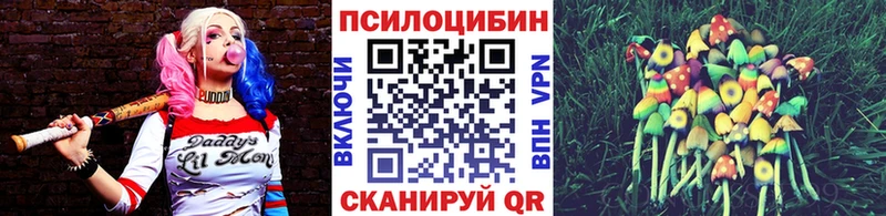 Псилоцибиновые грибы Psilocybine cubensis  Купить закладки  Олонец 