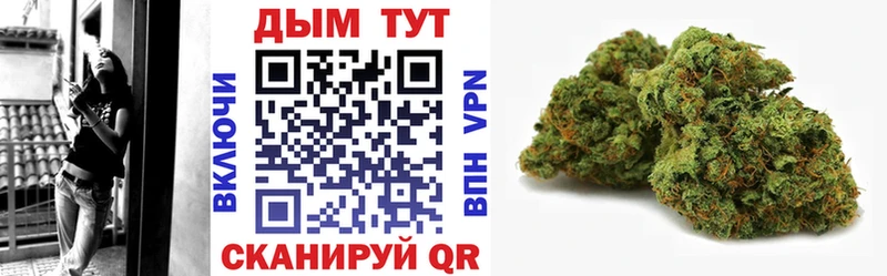 Марихуана SATIVA & INDICA  Купить  Олонец 